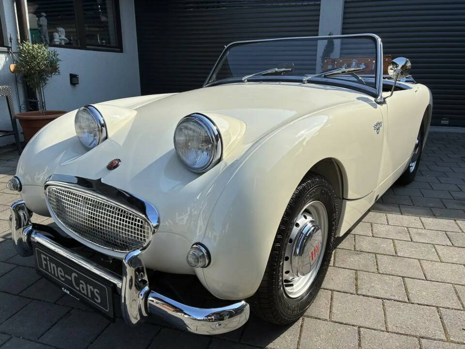 Image 18/20 of Austin-Healey Sprite Mk I (1960)