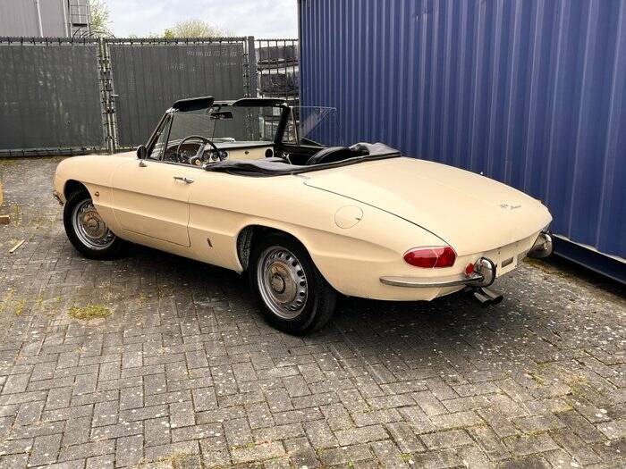 Bild 6/7 von Alfa Romeo 1600 Spider Duetto (1967)