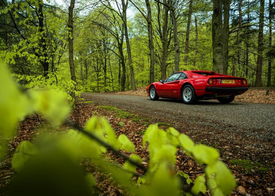 Bild 2/33 von Ferrari 308 GTB Quattrovalvole (1983)