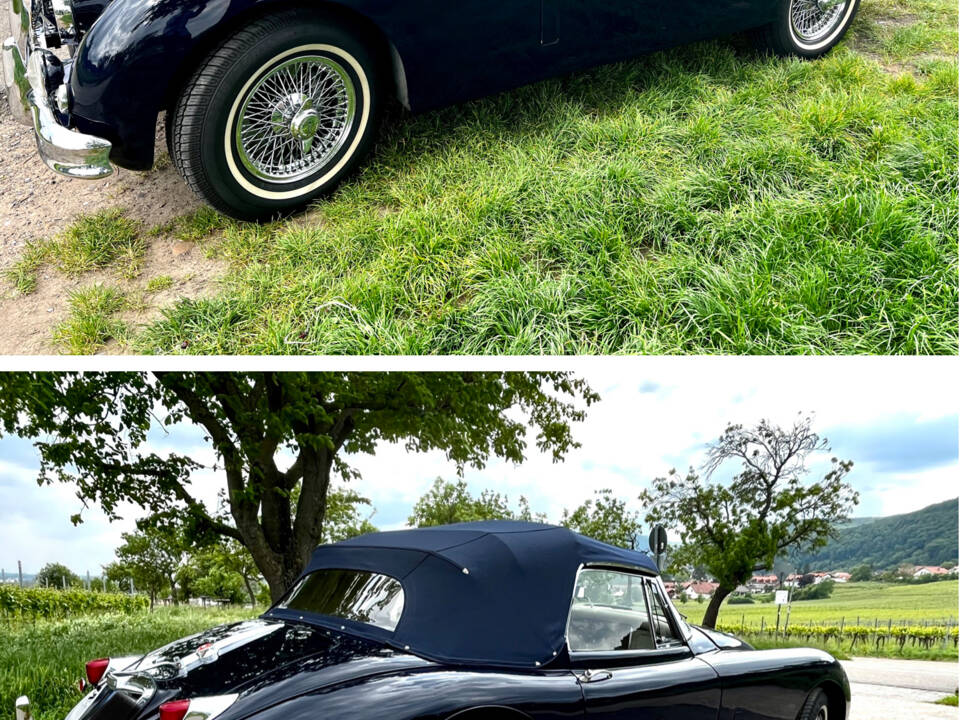 Image 2/12 of Jaguar XK 150 DHC (1958)