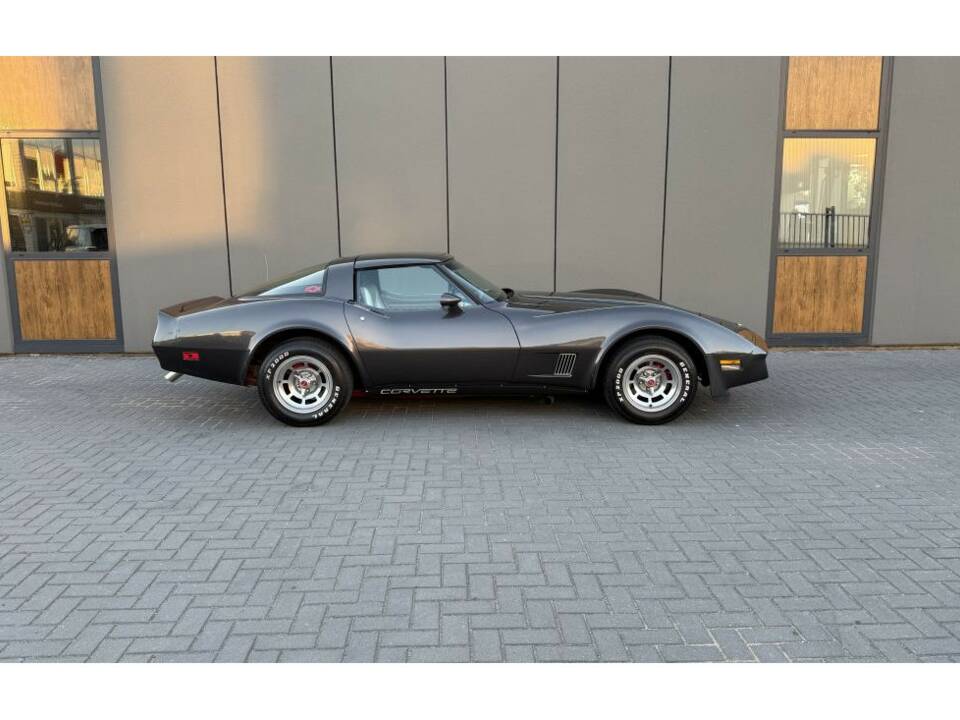 Bild 2/14 von Chevrolet Corvette Sting Ray (1981)
