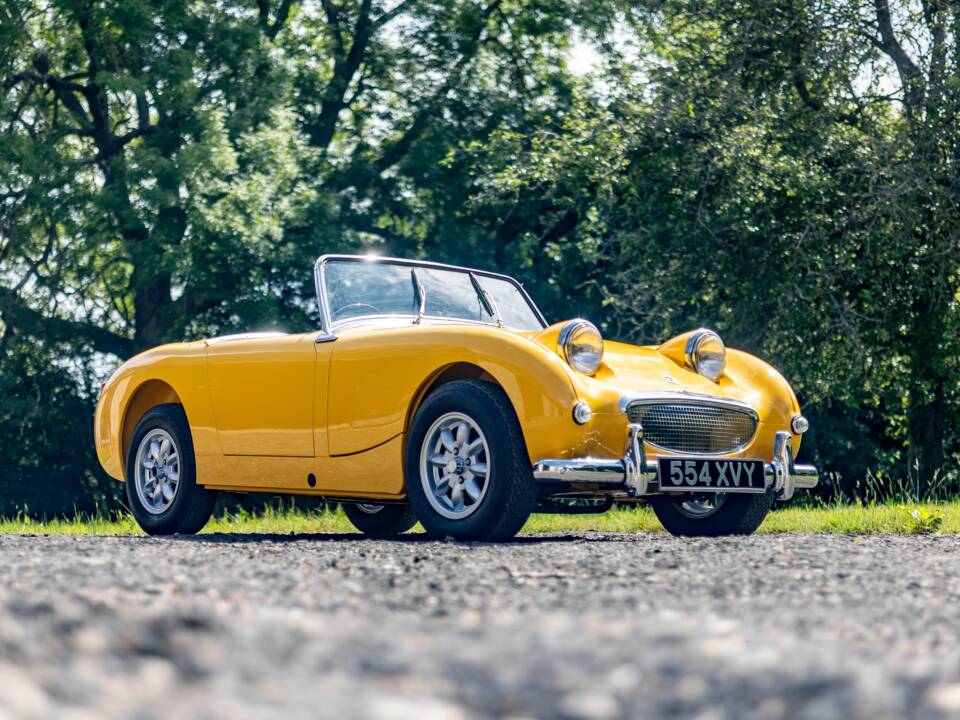 Bild 1/32 von Austin-Healey Sprite Mk I (1961)