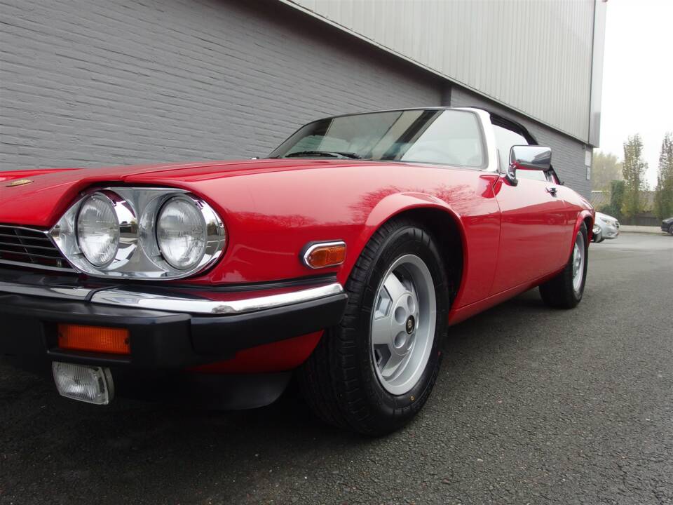 Image 21/99 de Jaguar XJS 5.3 V12 (1990)