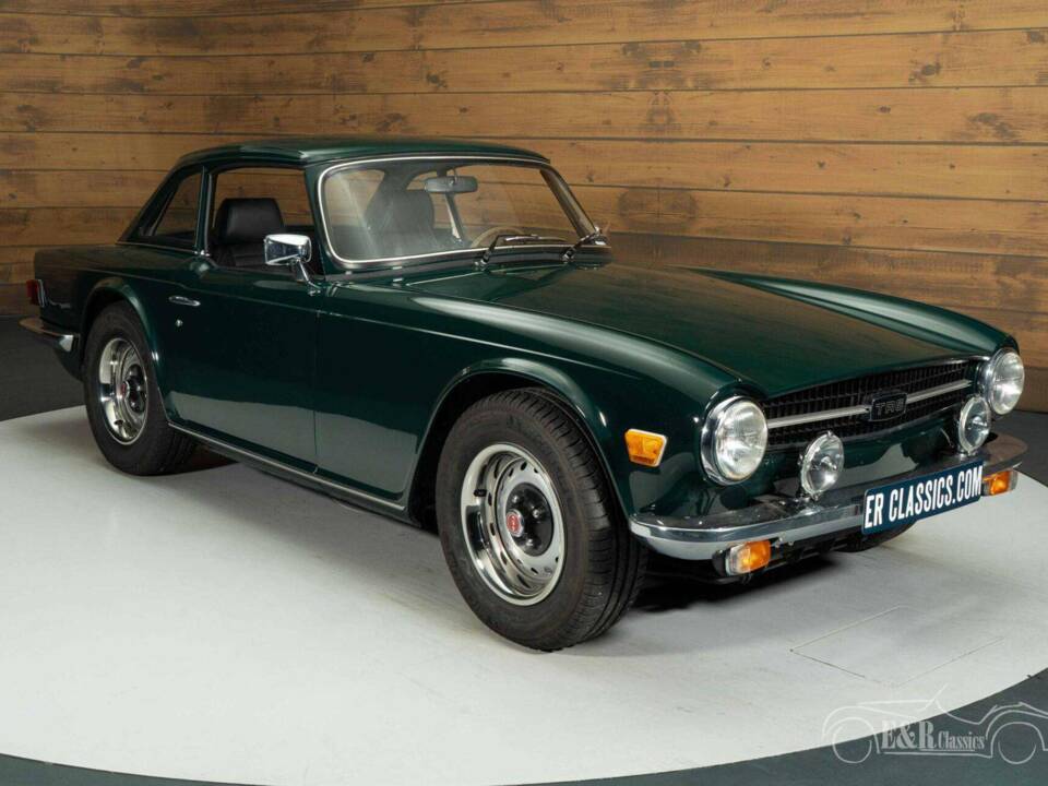 Immagine 15/19 di Triumph TR 6 (1976)