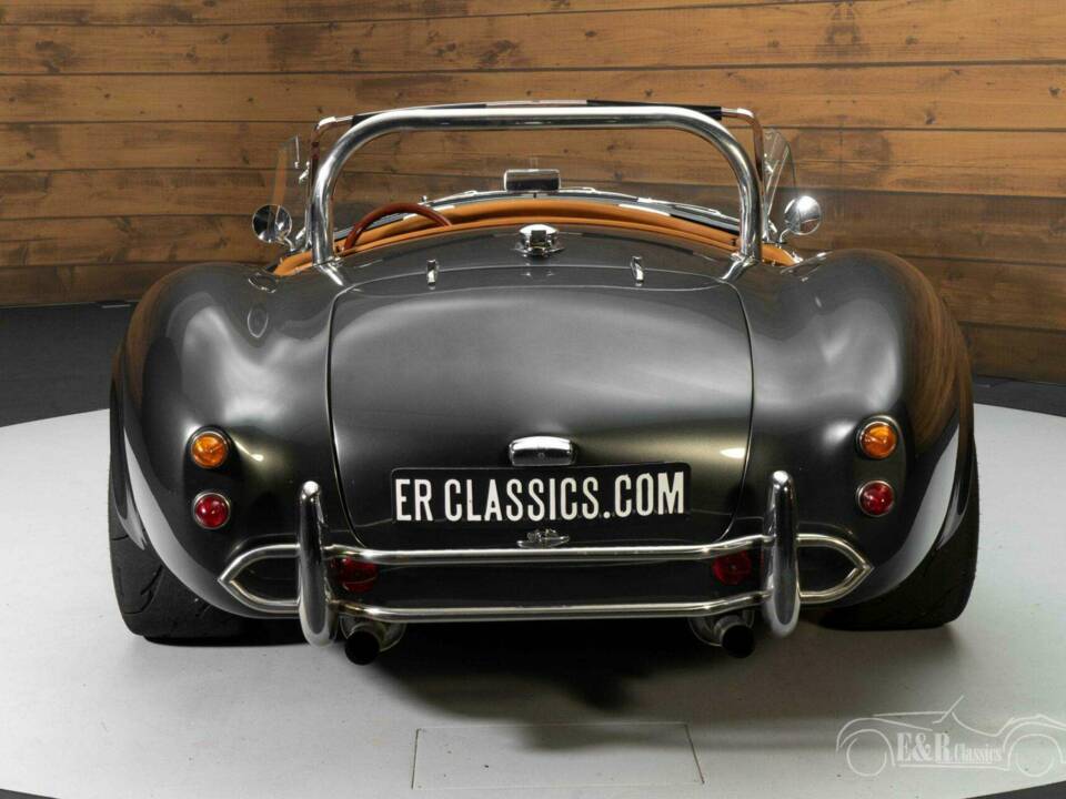 Bild 6/19 von AC Cobra 289 (1991)