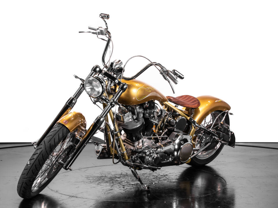 Image 5/38 de Harley-Davidson DUMMY (2009)