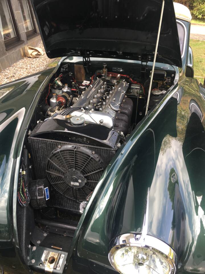 Image 6/14 de Jaguar XK 120 SE DHC (1954)