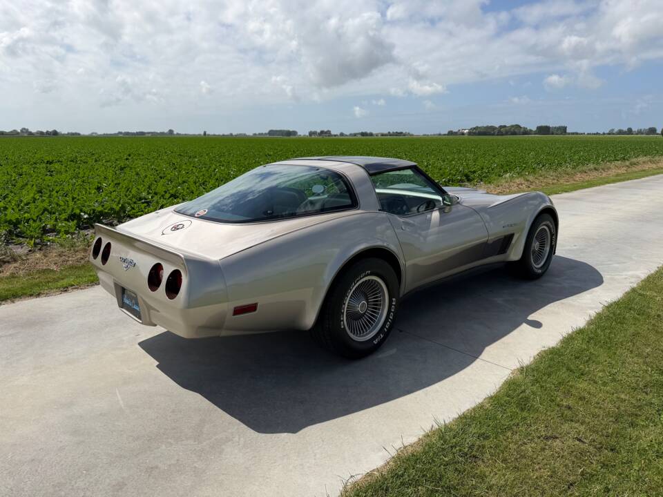 Afbeelding 5/50 van Chevrolet Corvette Collector Edition (1982)