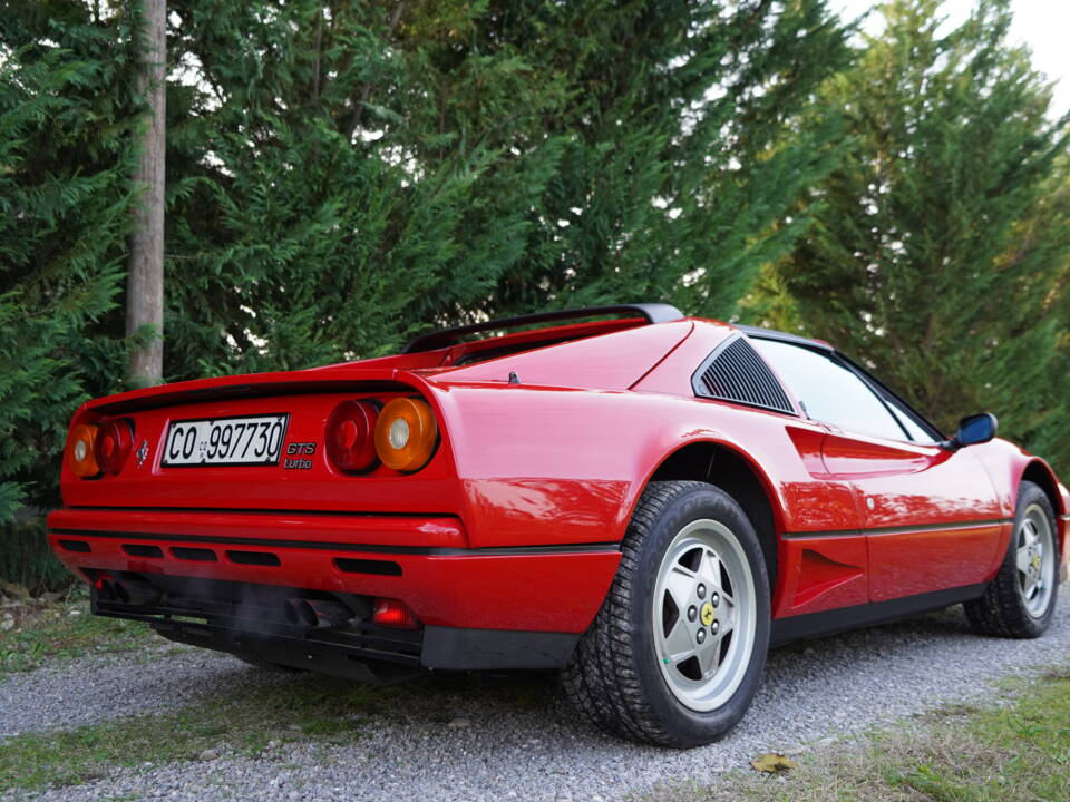 Bild 12/33 von Ferrari 208 GTS Turbo (1989)