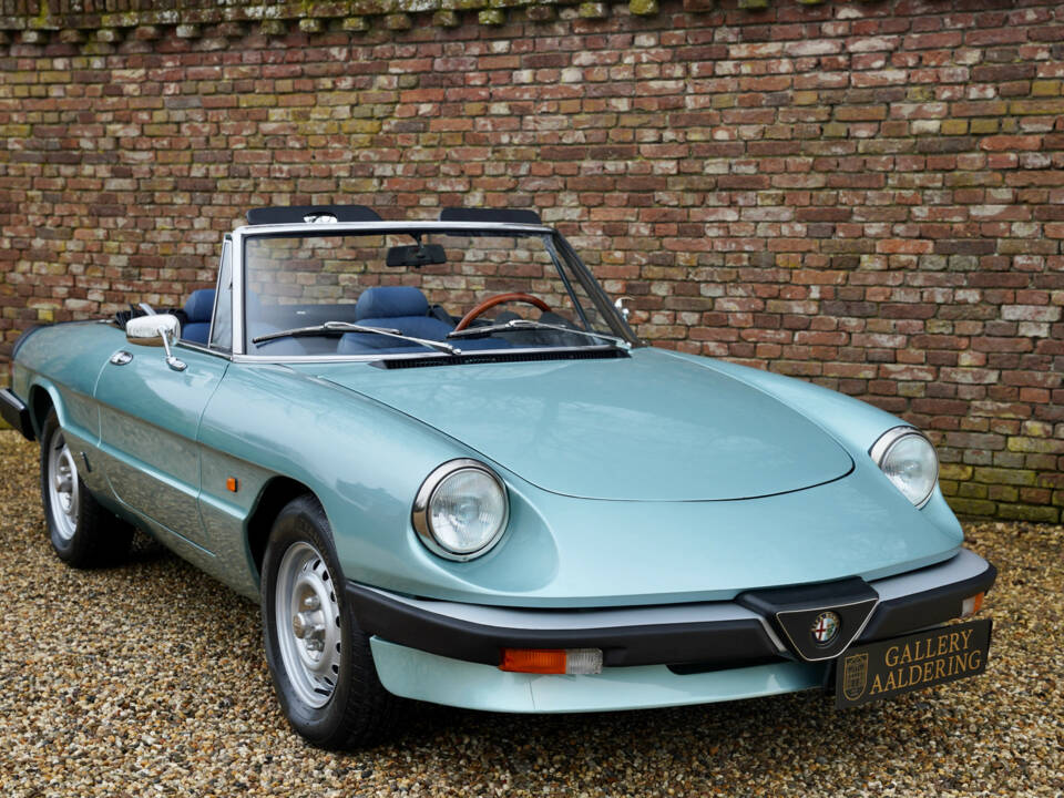 Imagen 32/50 de Alfa Romeo 2.0 Spider (1984)