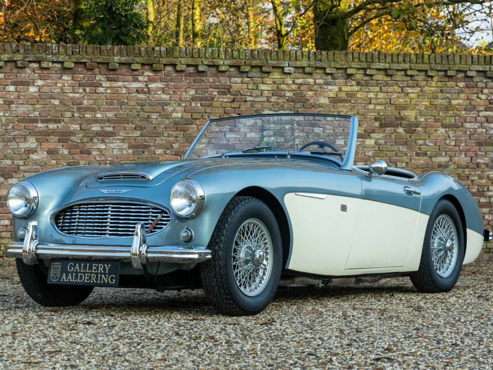 Bild 1/50 von Austin-Healey 3000 Mk I (BN7) (1960)