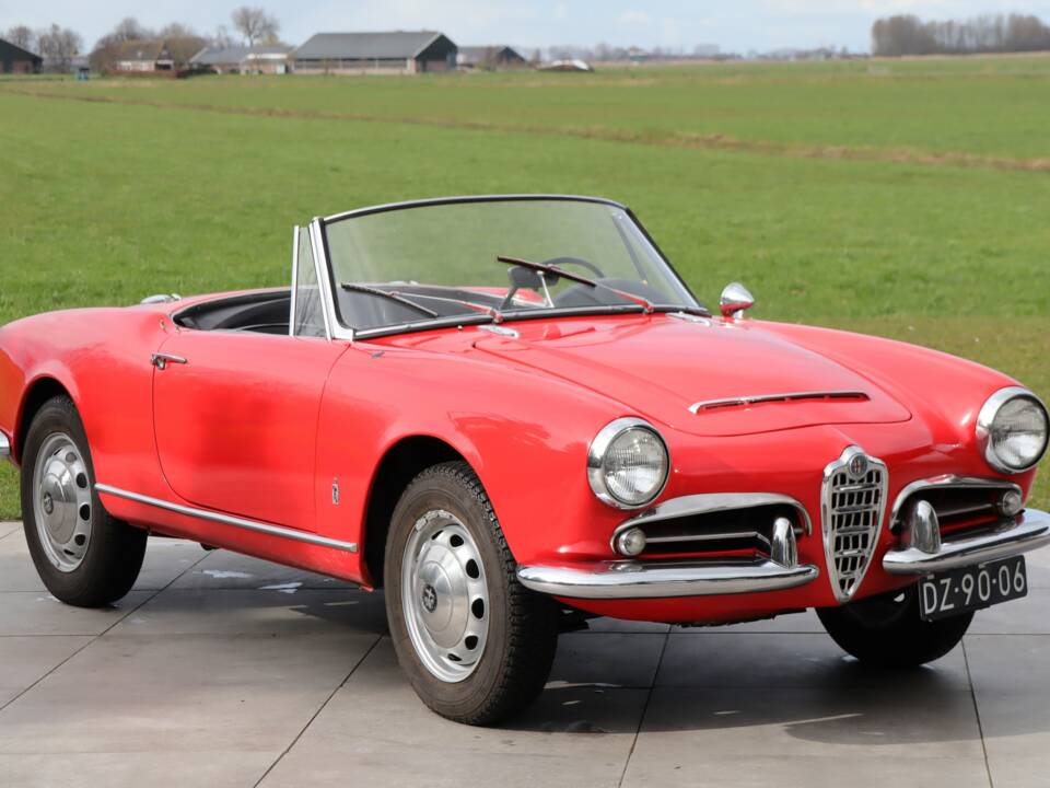 Bild 19/50 von Alfa Romeo Giulia 1600 Spider Veloce (1965)