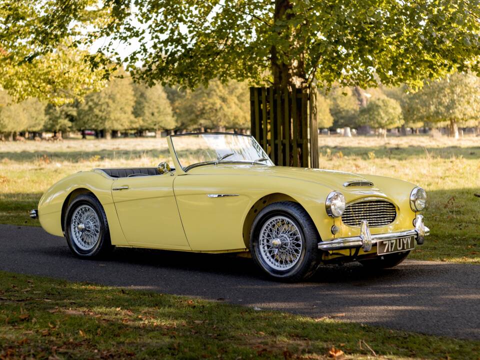 Bild 1/50 von Austin-Healey 3000 Mk I (BT7) (1960)