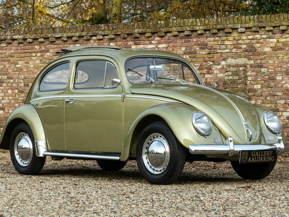 Bild 49/50 von Volkswagen Beetle 1200 Standard "Oval" (1956)