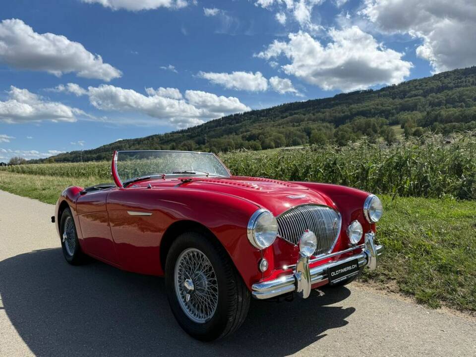 Image 15/23 of Austin-Healey 100/4 (BN1) (1955)