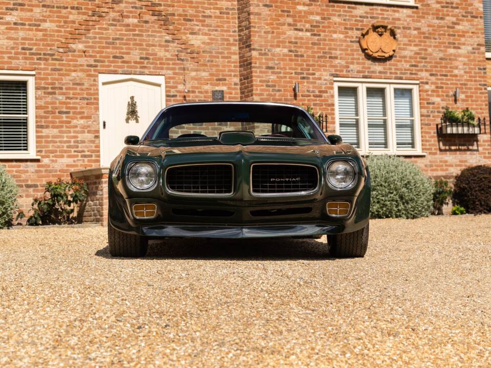 Immagine 21/49 di Pontiac Firebird TransAm (1973)