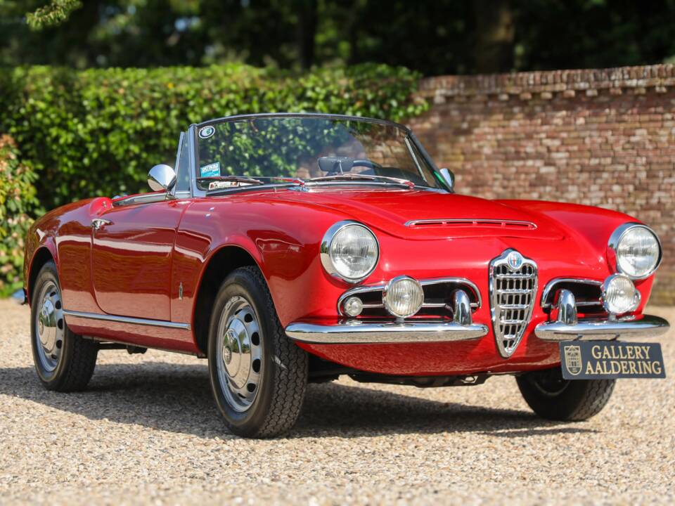 Bild 26/50 von Alfa Romeo Giulia 1600 Spider Veloce (1965)