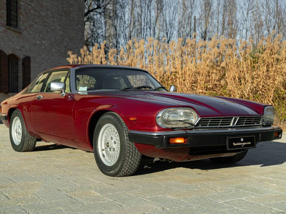 Bild 2/50 von Jaguar XJ-S 3.6 (1988)