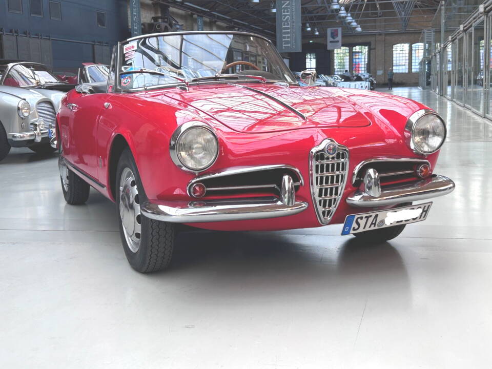 Image 5/35 of Alfa Romeo Giulietta Spider (1960)