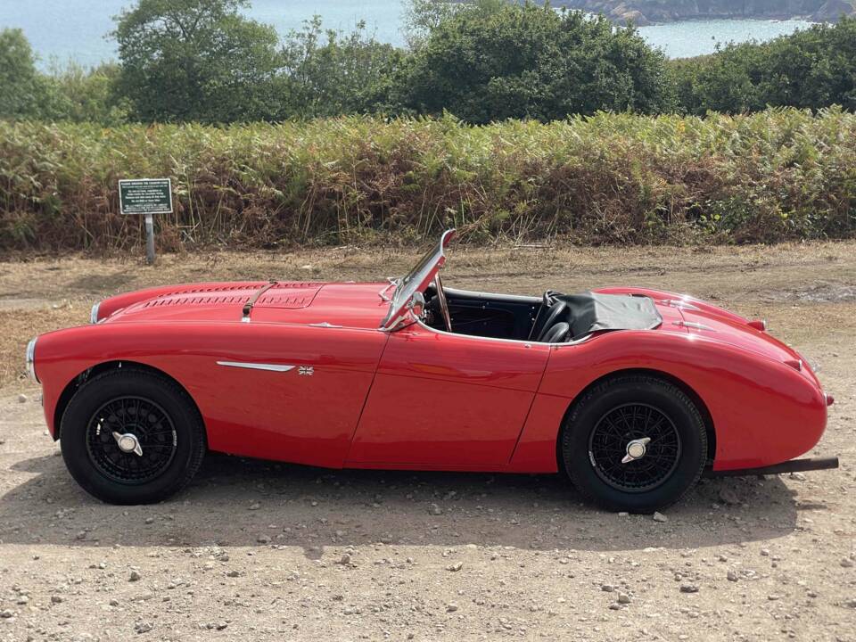Image 5/12 of Austin-Healey 100/4 (BN1) (1955)