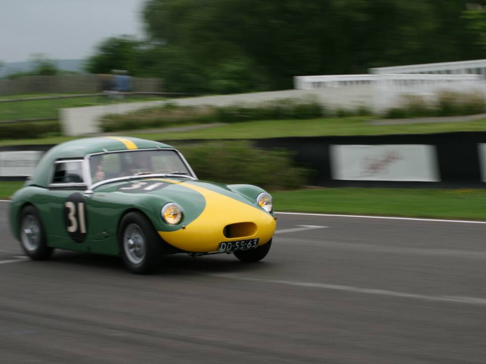 Image 13/50 of Austin-Healey Sprinzel Sebring Sprite (1958)