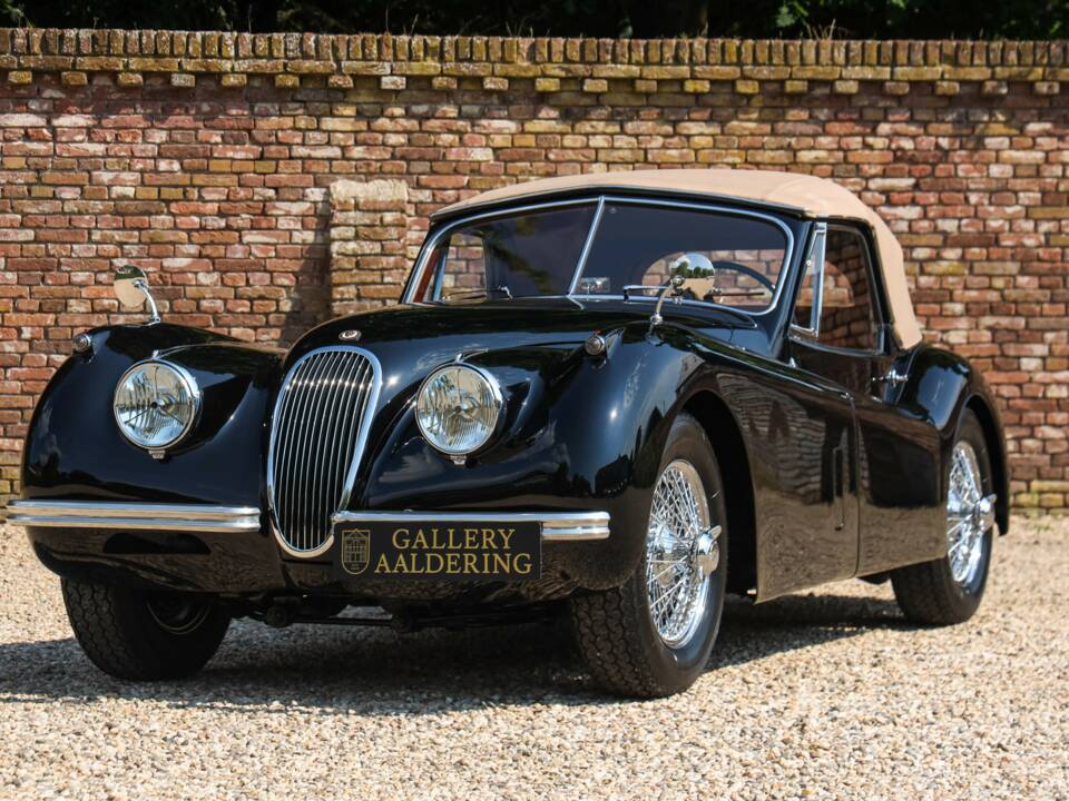 Immagine 9/50 di Jaguar XK 120 DHC (1953)