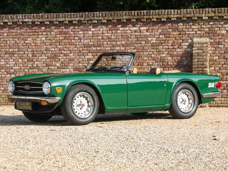 Immagine 14/50 di Triumph TR 6 (1976)
