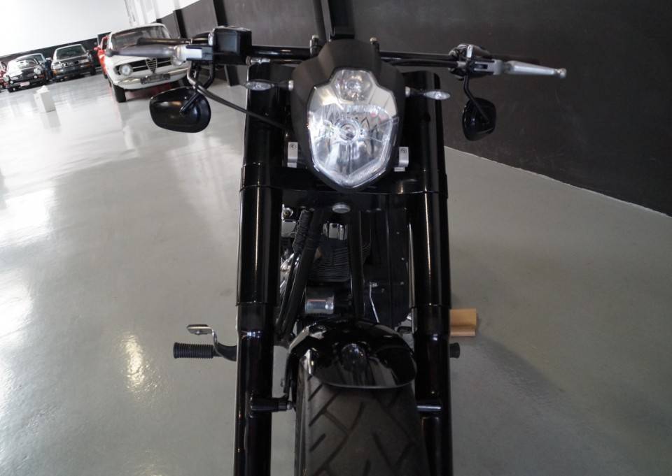 Image 20/33 of Harley-Davidson DUMMY (2008)