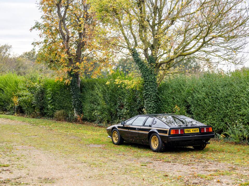 Immagine 30/50 di Lotus Esprit S2 (1979)
