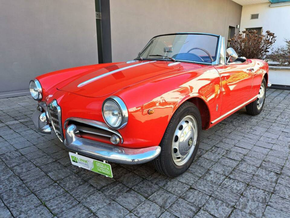 Bild 1/12 von Alfa Romeo Giulietta Spider (1961)