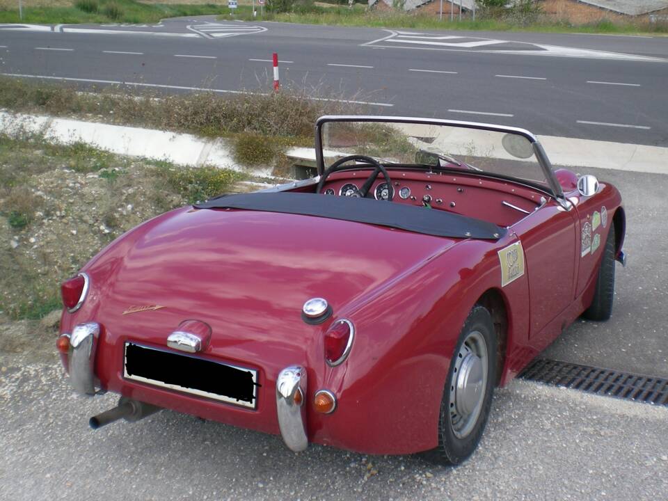 Bild 5/10 von Austin-Healey Sprite Mk I (1959)