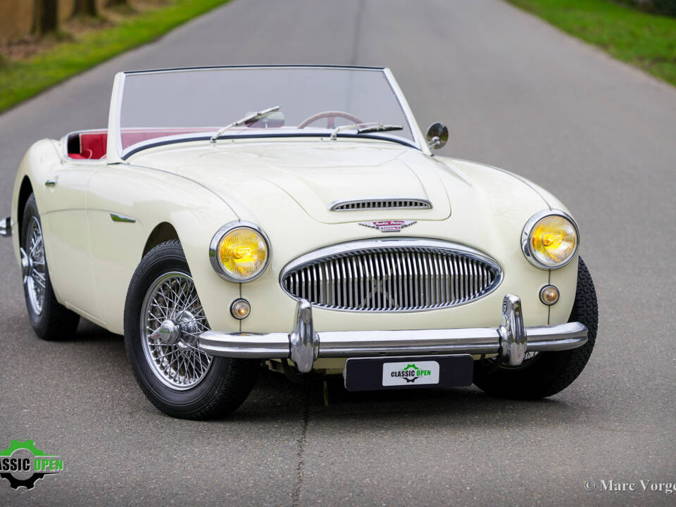 Immagine 14/50 di Austin-Healey 3000 Mk II (BT7) (1961)