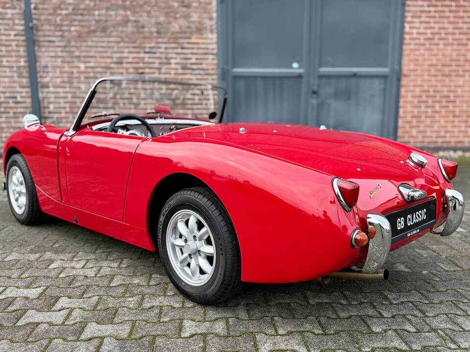 Image 11/40 of Austin-Healey Sprite Mk I (1958)