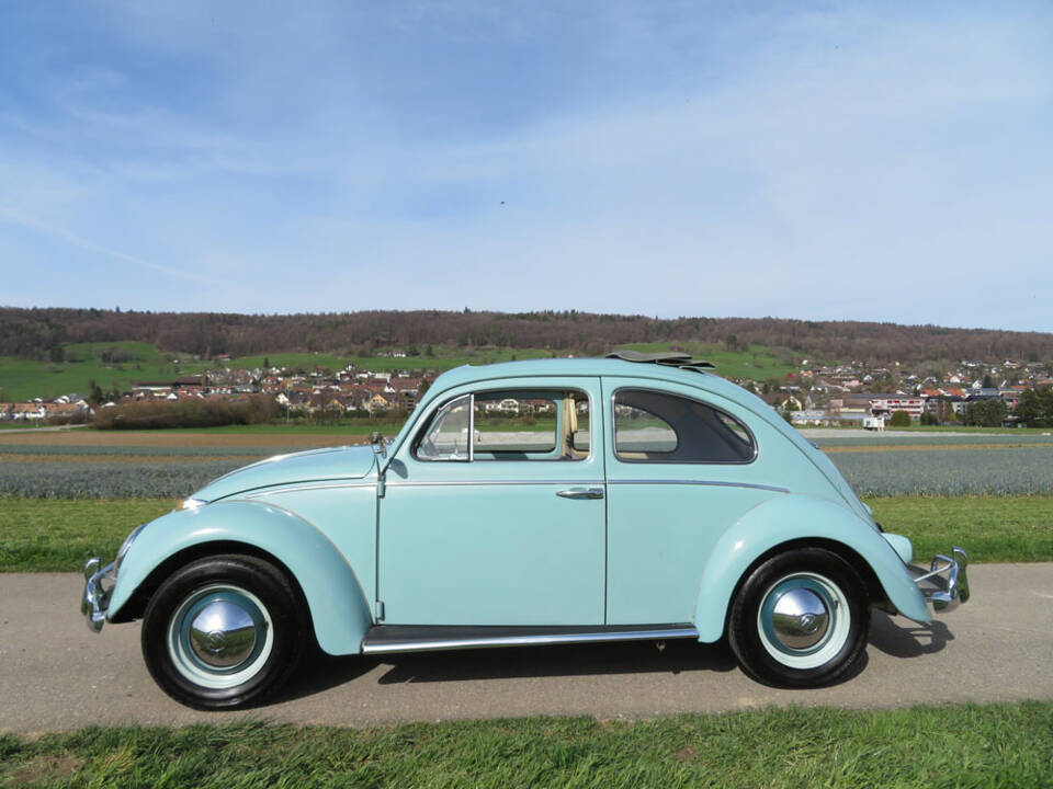 Immagine 3/17 di Volkswagen Käfer 1200 Export &quot;Dickholmer&quot; (1961)