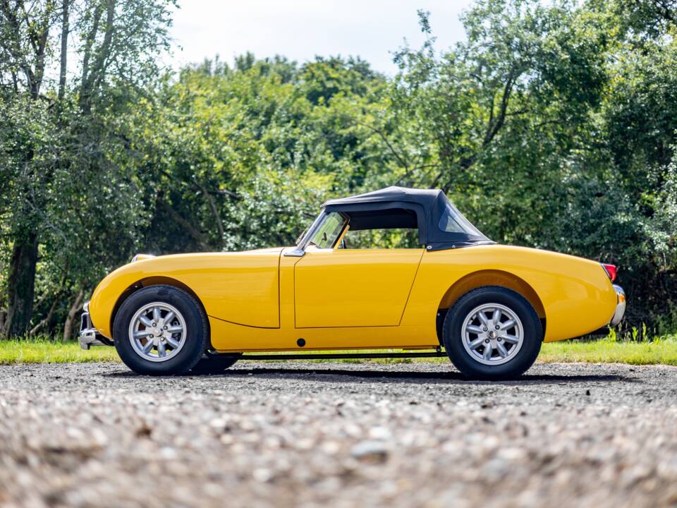 Bild 11/32 von Austin-Healey Sprite Mk I (1961)