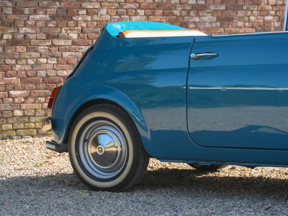 Bild 28/50 von FIAT 500 Moretti Minimaxi (1973)