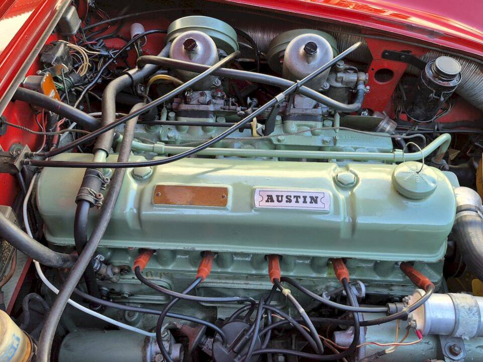 Imagen 39/53 de Austin-Healey 3000 Mk III (BJ8) (1965)
