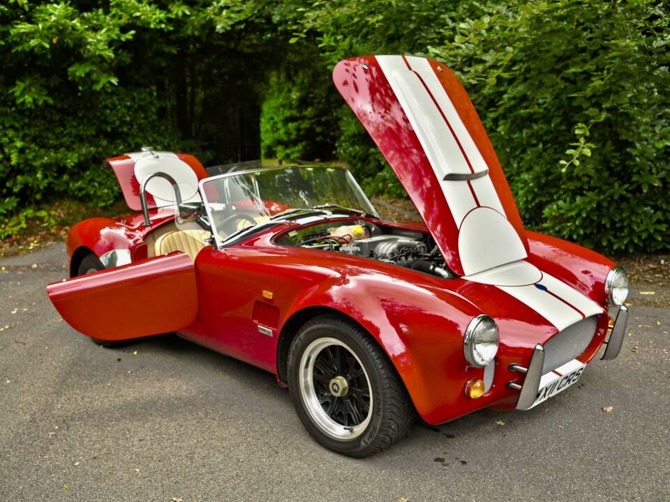 Bild 19/50 von AC Cobra 289 (2000)