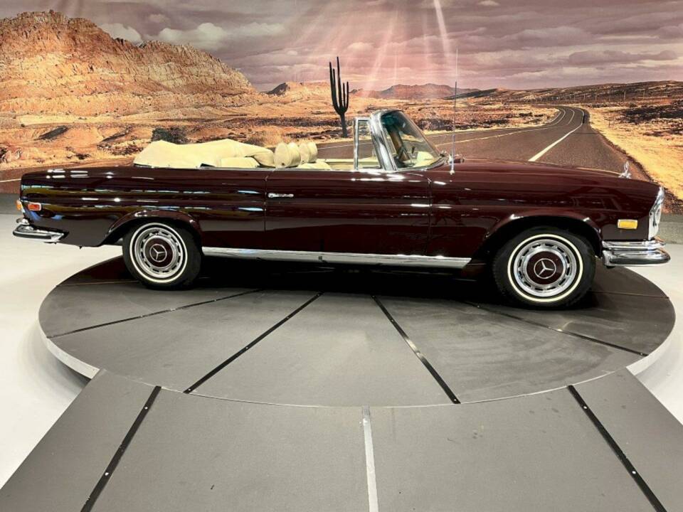 Image 8/36 de Mercedes-Benz 280 SE 3,5 (1971)
