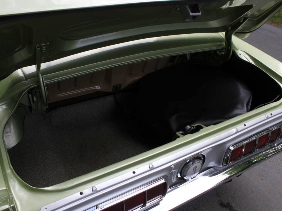 Image 16/18 of Ford Shelby GT 500 (1968)