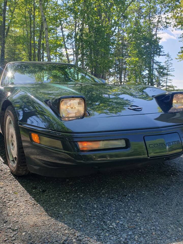 Image 6/7 de Chevrolet Corvette (1994)