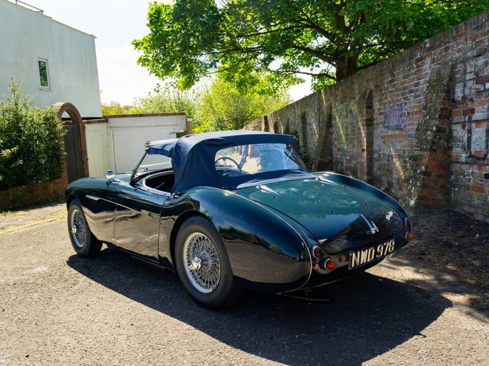 Bild 37/46 von Austin-Healey 100/4 (BN1) (1953)