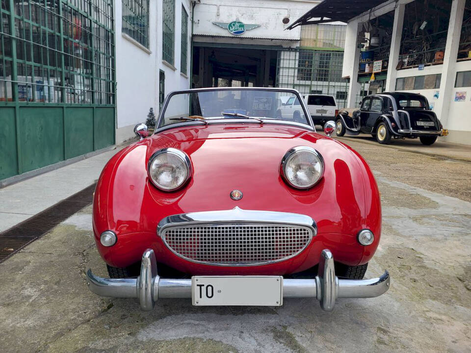 Image 6/51 of Austin-Healey Sprite Mk I (1960)