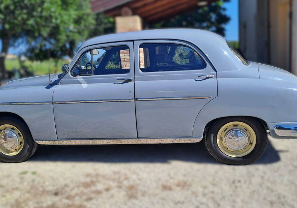 Bild 5/31 von FIAT 1900 Granluce (1953)