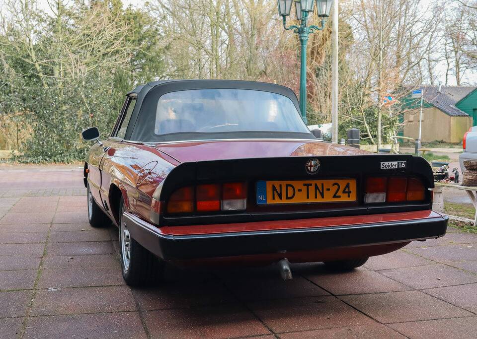 Bild 6/8 von Alfa Romeo 1.6 Spider (1983)