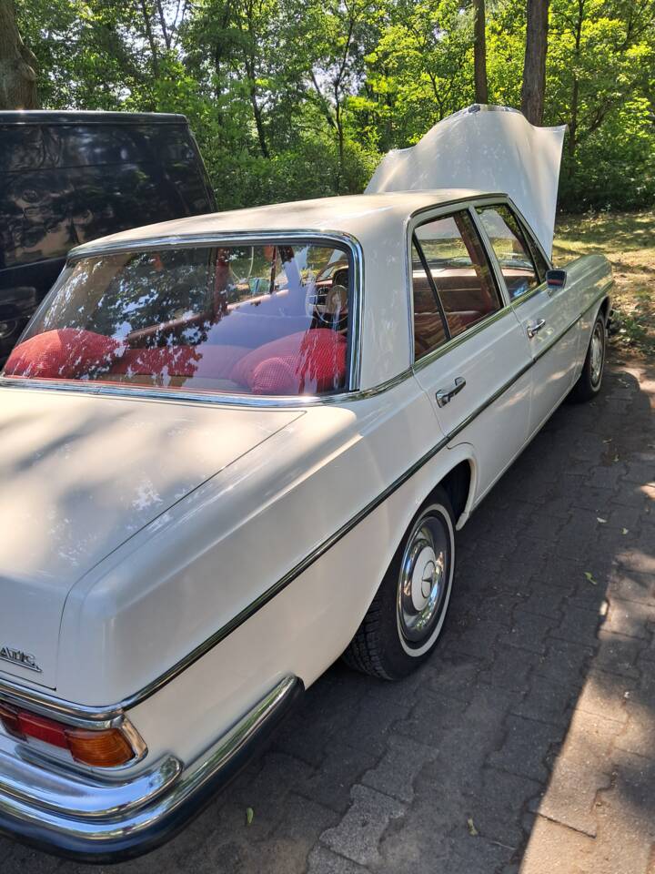 Afbeelding 6/12 van Mercedes-Benz 250 SE (1966)