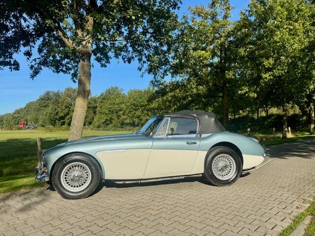 Bild 3/7 von Austin-Healey 3000 Mk III (BJ8) (1966)