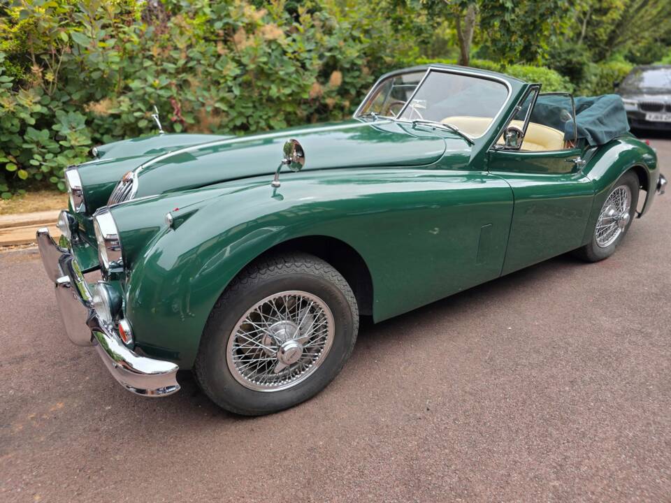 Bild 2/45 von Jaguar XK 140 DHC (1955)