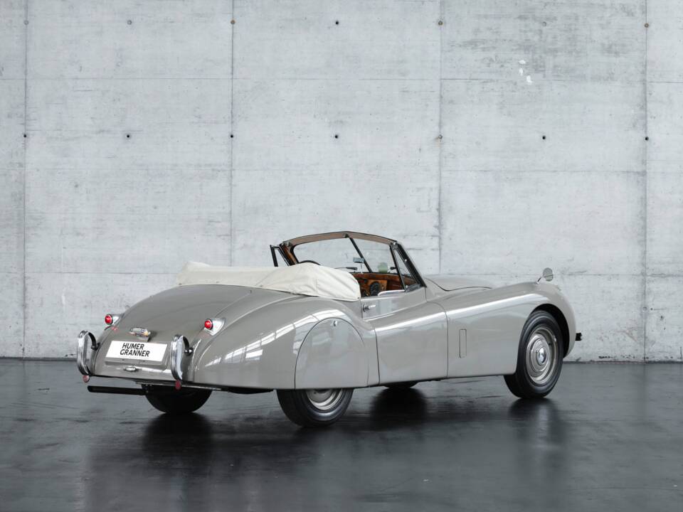 Bild 6/50 von Jaguar XK 120 DHC (1953)