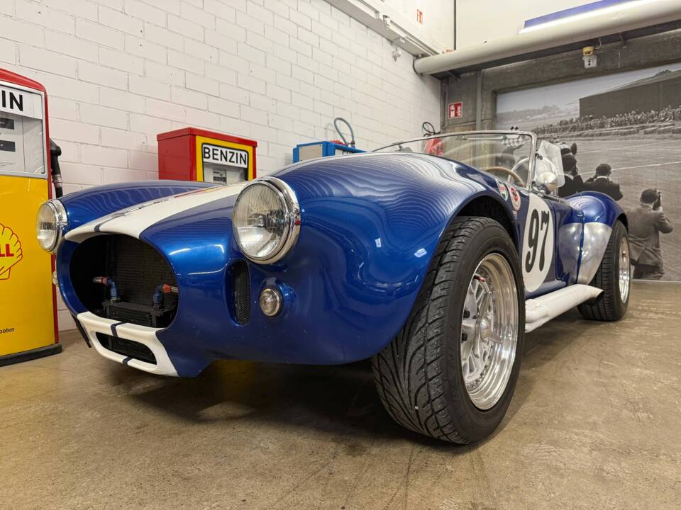 Afbeelding 2/15 van AC Cobra 289 (1965)